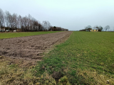 Działka Sprzedaż Mszadla Stara