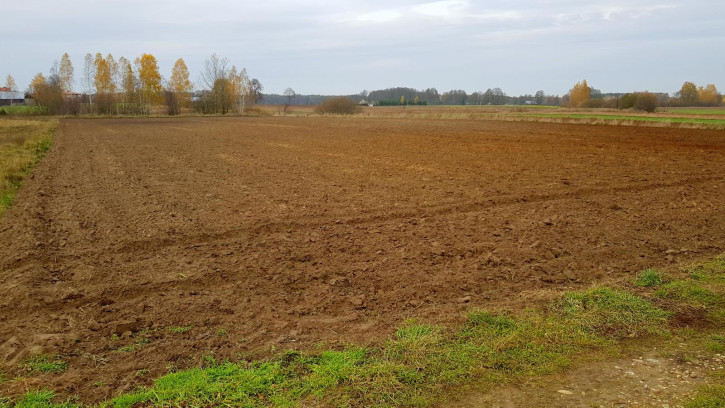 Działka Sprzedaż Samoklęski 2