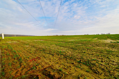 Działka Sprzedaż Zemborzyce Podleśne