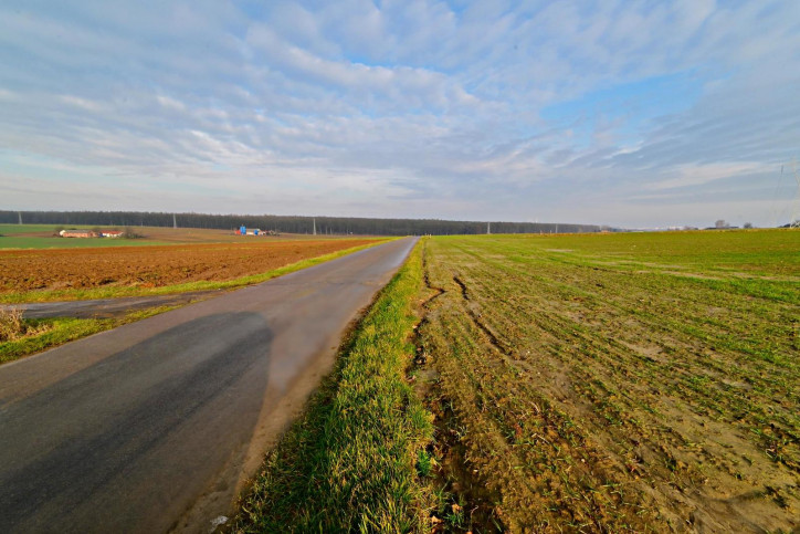 Działka Sprzedaż Zemborzyce Podleśne 3