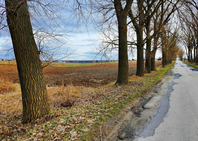 Działka Sprzedaż Lublin Zemborzyce 1