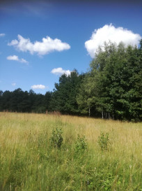 Działka Sprzedaż Garbatówka