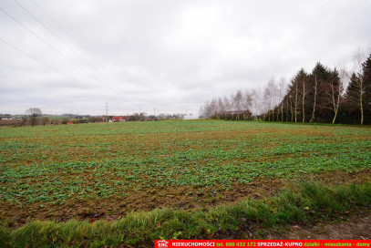 Działka Sprzedaż Bystrzyca