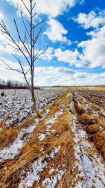 Działka Sprzedaż Płouszowice-Kolonia