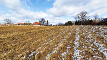 Działka Sprzedaż Płouszowice-Kolonia