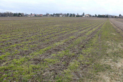 Działka Sprzedaż Lublin Zemborzyce Kukułcza