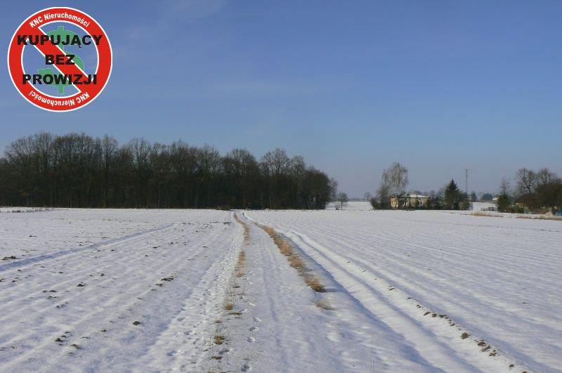 Działka Sprzedaż Krężnica Jara