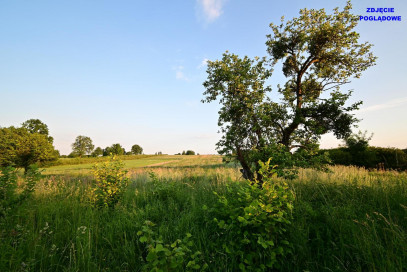 Działka Sprzedaż Nałęczów