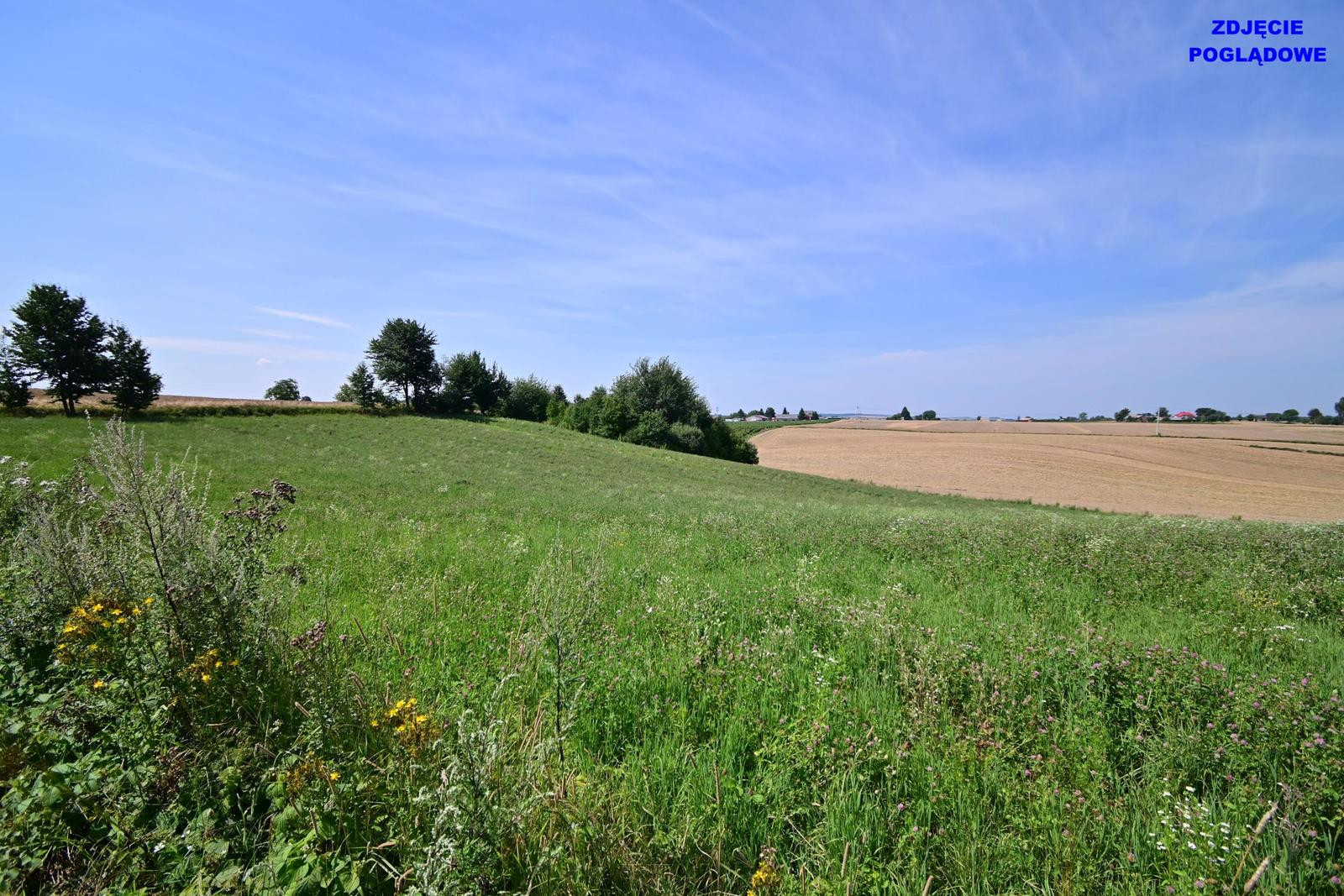 Działka Sprzedaż Nałęczów