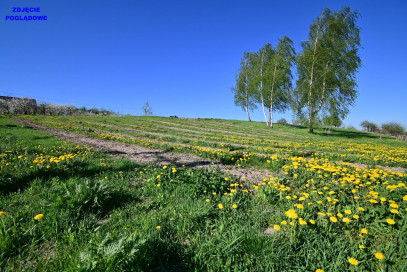 Działka Sprzedaż Nałęczów