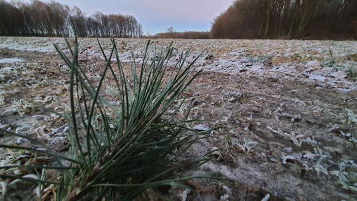 Działka Sprzedaż Kazimierz Dolny 2