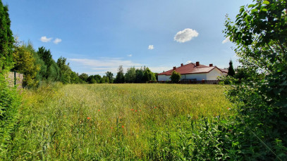 Działka Sprzedaż Dąbrowica