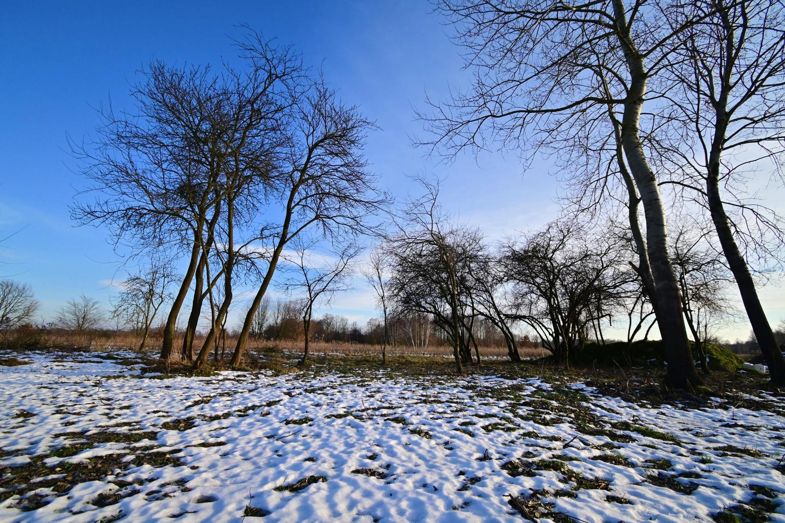 Działka Sprzedaż Stanisławka