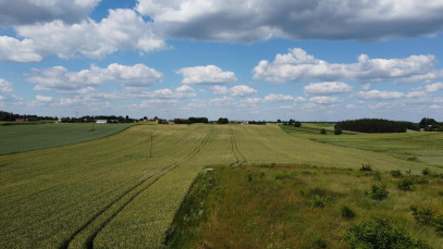 Działka Sprzedaż Snopków