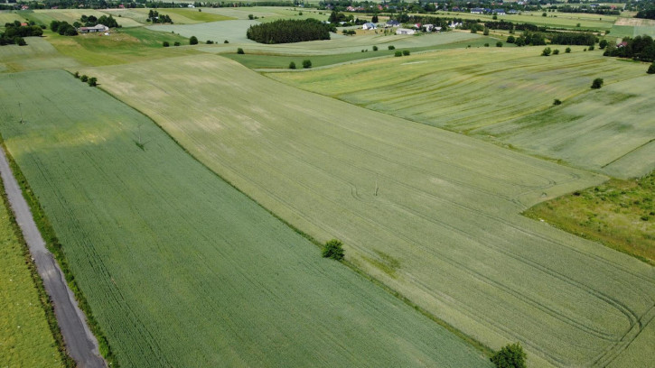 Działka Sprzedaż Snopków 8