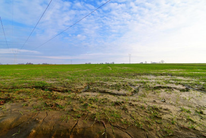 Działka Sprzedaż Zemborzyce Podleśne