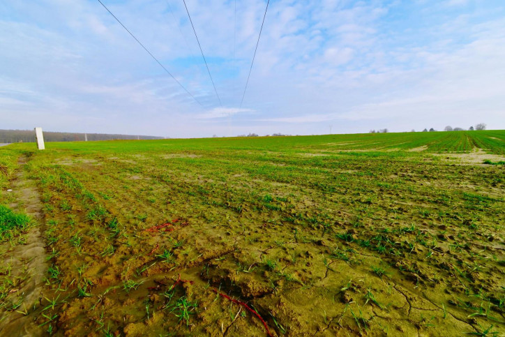 Działka Sprzedaż Zemborzyce Podleśne 4