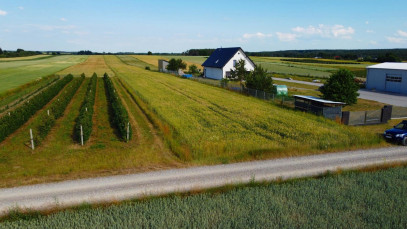 Działka Sprzedaż Borów-Kolonia