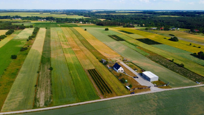 Działka Sprzedaż Borów-Kolonia