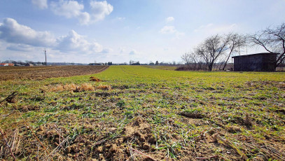 Działka Sprzedaż Miłocin