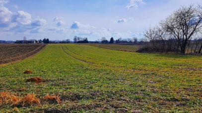 Działka Sprzedaż Miłocin