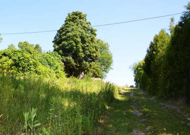 Działka Sprzedaż Snopków