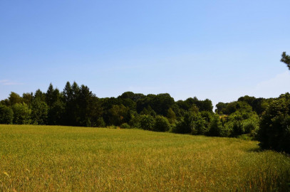 Działka Sprzedaż Snopków