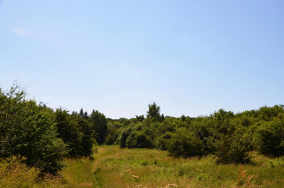 Działka Sprzedaż Snopków