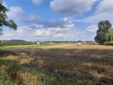 Działka Sprzedaż Kalinówka