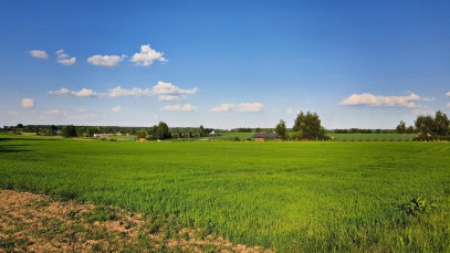 Działka Sprzedaż Miłocin