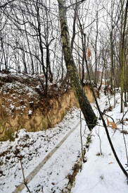 Działka Sprzedaż Piotrowice