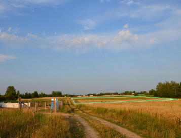 Działka Sprzedaż Marysin