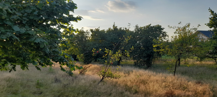 Działka Sprzedaż Lublin Głusk 4