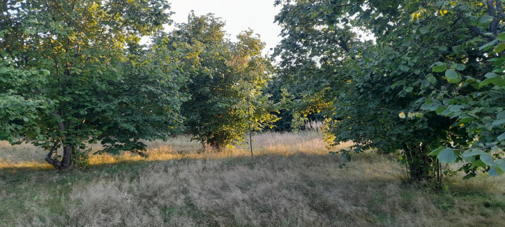 Działka Sprzedaż Lublin Głusk 2