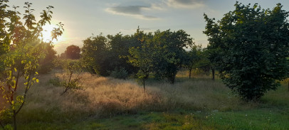 Działka Sprzedaż Lublin Głusk