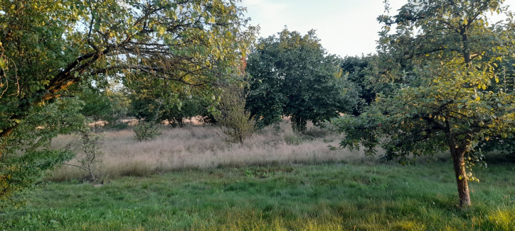 Działka Sprzedaż Lublin Głusk 3