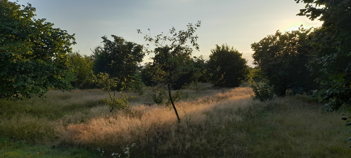 Działka Sprzedaż Lublin Głusk 5