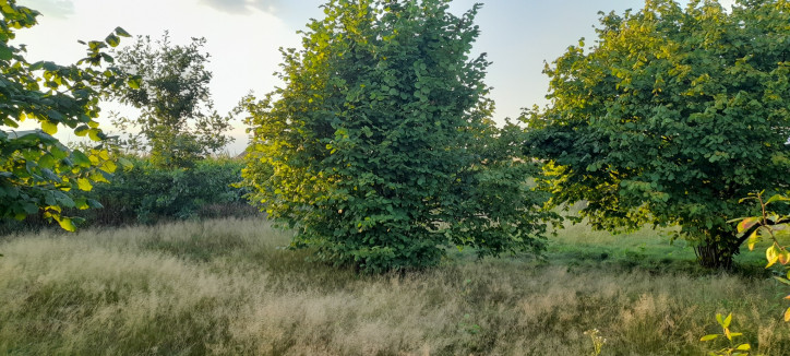 Działka Sprzedaż Lublin Głusk 8