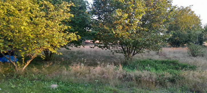 Działka Sprzedaż Lublin Głusk 10
