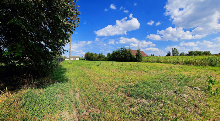 Działka Sprzedaż Dratów 4