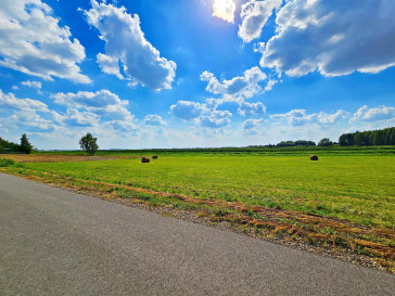 Działka Sprzedaż Dratów