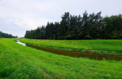 Działka Sprzedaż Dąbrowa