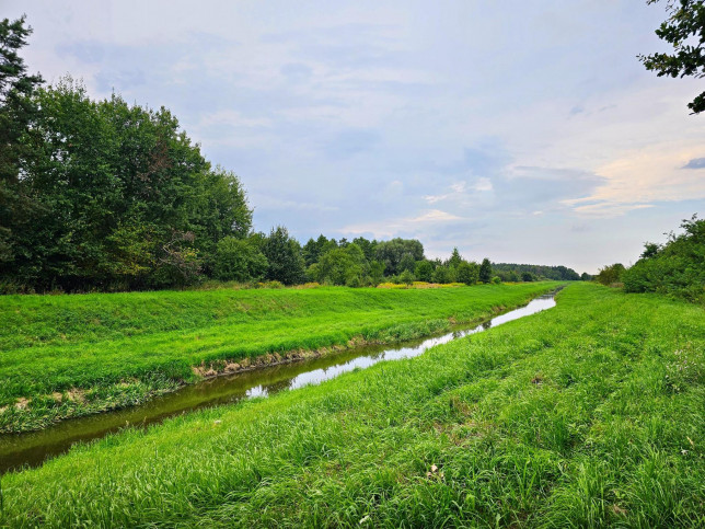 Działka Sprzedaż Dąbrowa 4