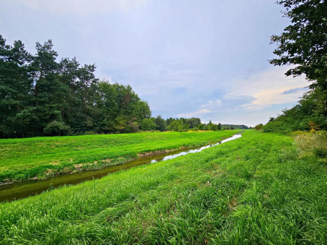 Działka Sprzedaż Dąbrowa 2