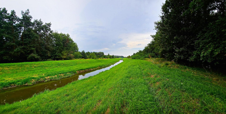 Działka Sprzedaż Dąbrowa 5