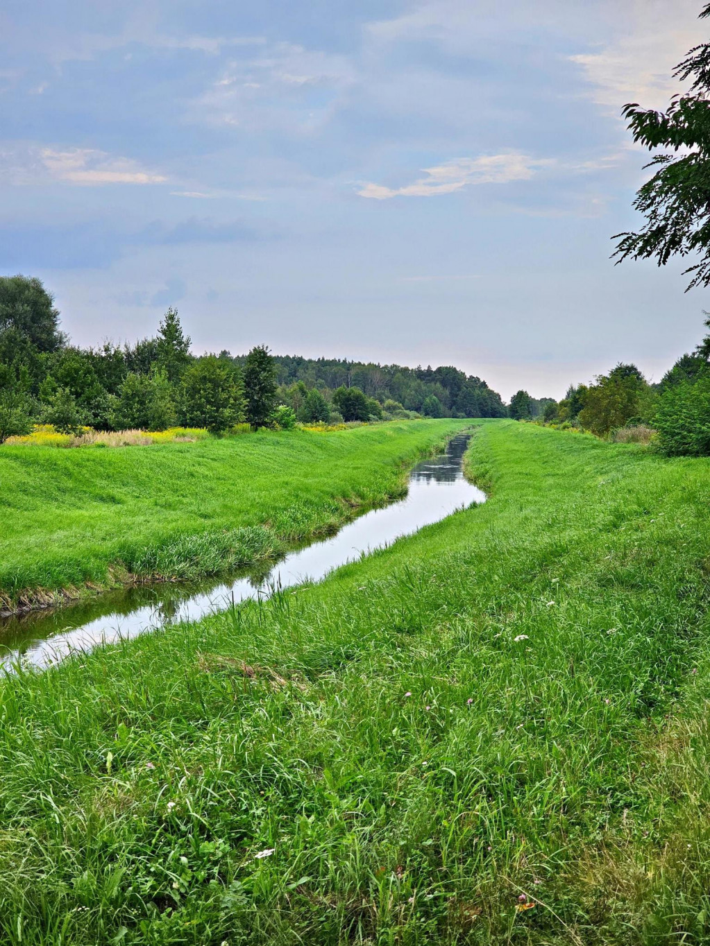 Działka Sprzedaż Dąbrowa