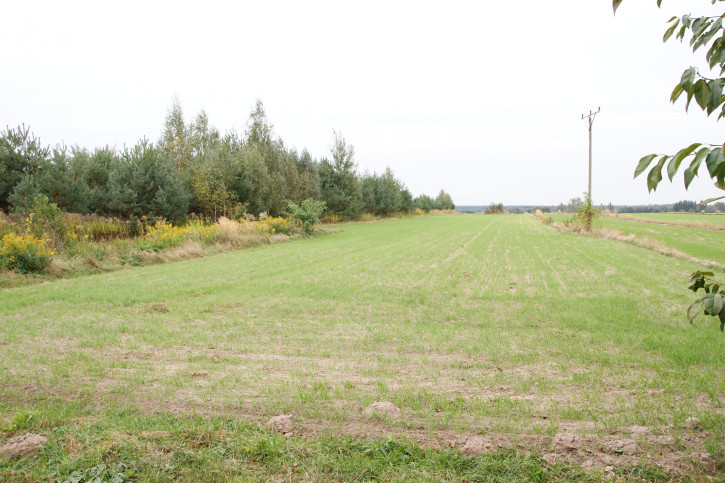 Dom Sprzedaż Łuszczów Drugi 10