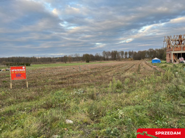 Działka Sprzedaż Jedlanka