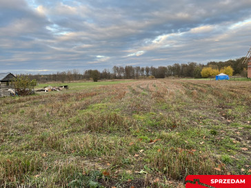 Działka Sprzedaż Jedlanka