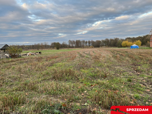 Działka Sprzedaż Jedlanka 6